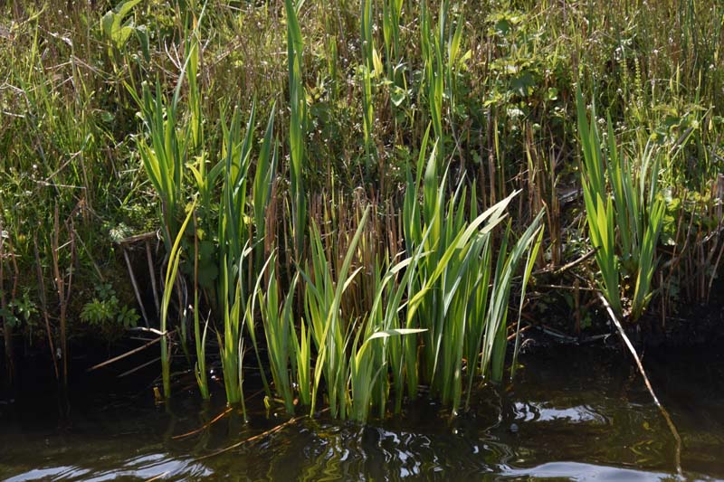 19-04-16_WES-Holl_0251_GA2_8020