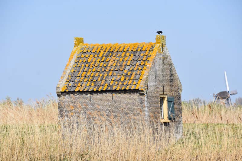 19-04-16_WES-Holl_0253_GA2_8021