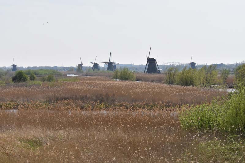 19-04-16_WES-Holl_0350_GA2_8082