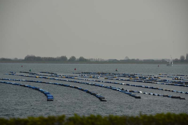 19-04-16_WES-Holl_0414_GA2_8147