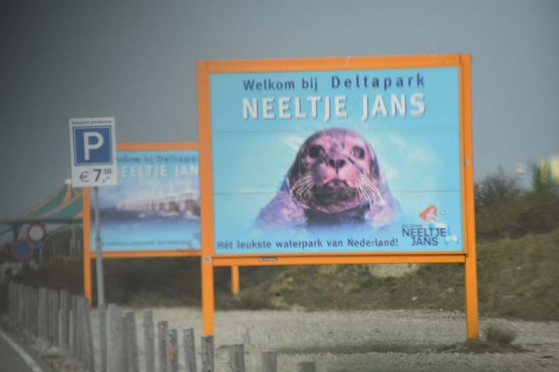 19-04-16_WES-Holl_0483_GA2_8216