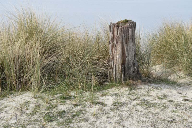 19-04-16_WES-Holl_0497_GA2_8230