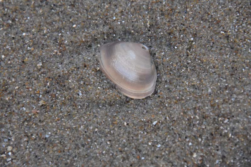 19-04-16_WES-Holl_0602_GA2_8328