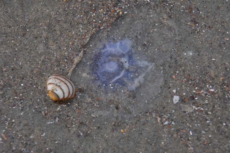 19-04-16_WES-Holl_0606_GA2_8332