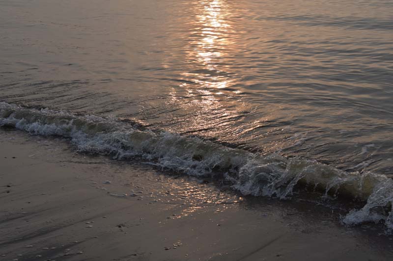 19-04-16_WES-Holl_0608_GA2_8334