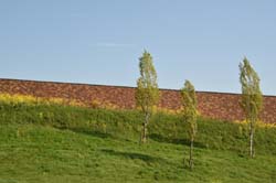 19-04-16_WES-Holl_0002_GA2_7869