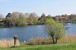 19-04-16_WES-Holl_0032_GA2_7899