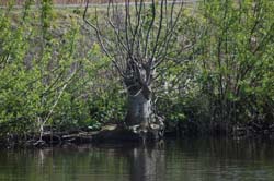 19-04-16_WES-Holl_0081_GA2_7929