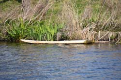 19-04-16_WES-Holl_0200_GA2_7996