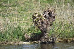 19-04-16_WES-Holl_0209_GA2_8001