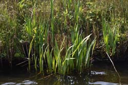 19-04-16_WES-Holl_0251_GA2_8020