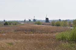 19-04-16_WES-Holl_0350_GA2_8082