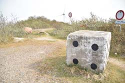 19-04-16_WES-Holl_0485_GA2_8218