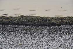 19-04-16_WES-Holl_0499_GA2_8232