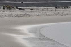 19-04-16_WES-Holl_0511_GA2_8240