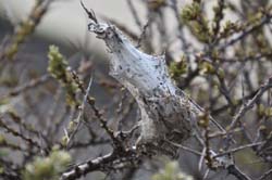 19-04-16_WES-Holl_0515_GA2_8244